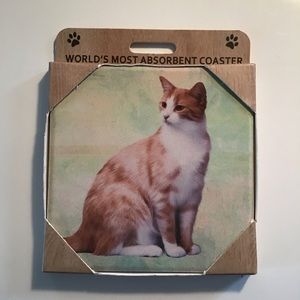 World's Most Absorbent Coaster Orange And White Cat Feline Kitten Kitty